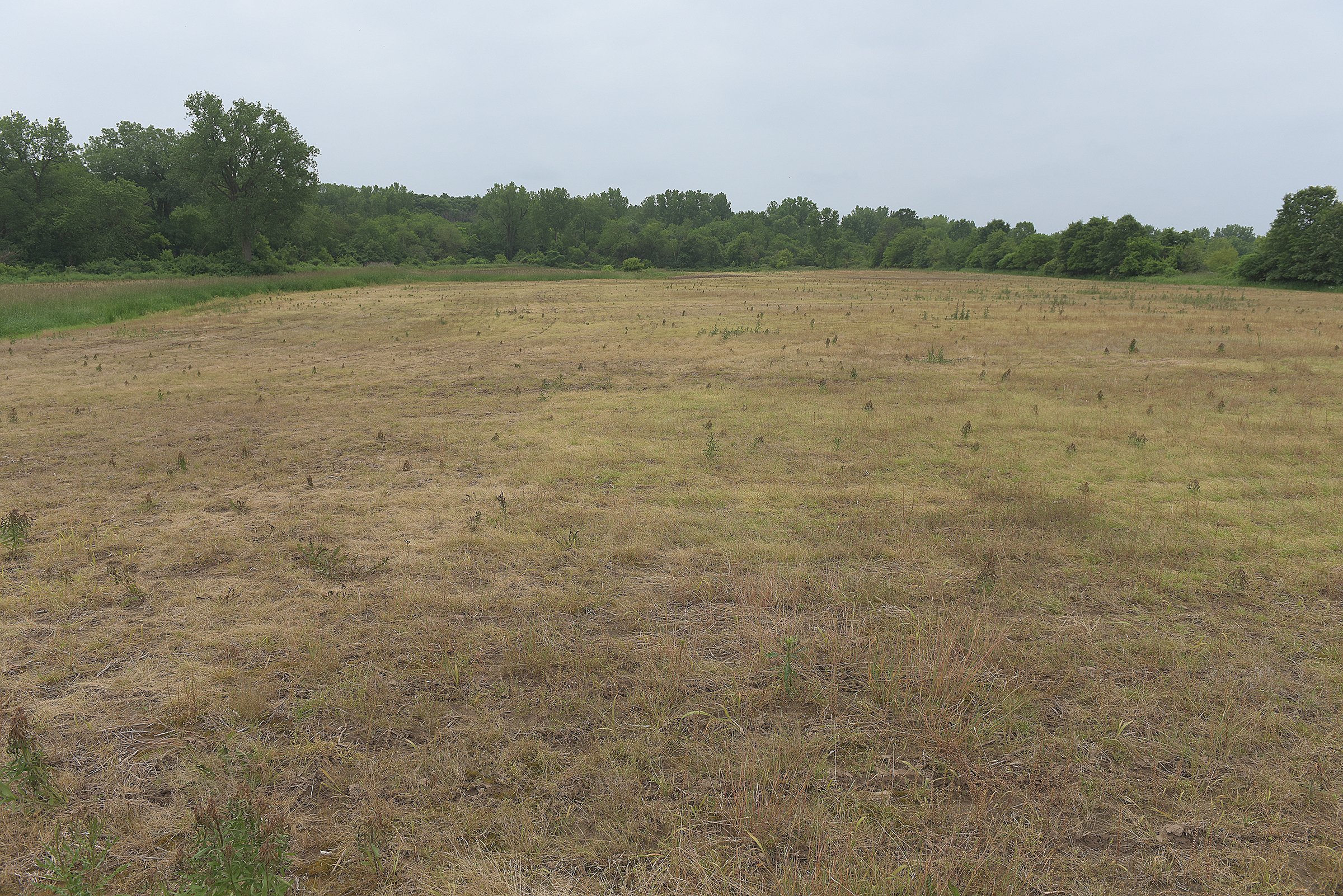Lake County, Indiana farmland - LAND AUCTION - 147+/- ACRES OFFERED IN 3 TRACTS IN LAKE COUNTY, INDIANA